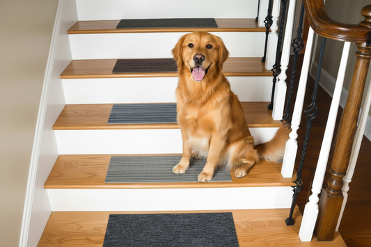 Happy dog on light maple staircase